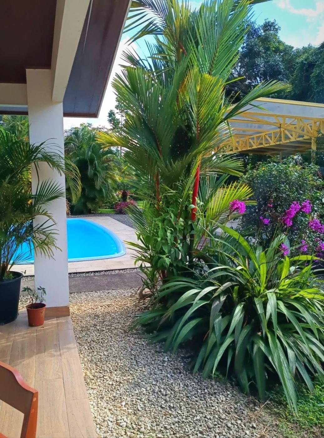 Arenal Villas Tranquilas, Free-Standing Equipped Houses Nuevo Arenal Exteriör bild